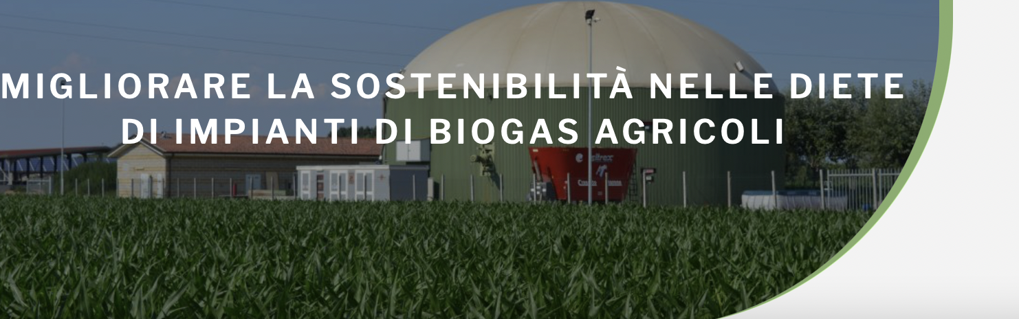 Migliorare la sostenibilità nelle diete di impianti di biogas agricoli